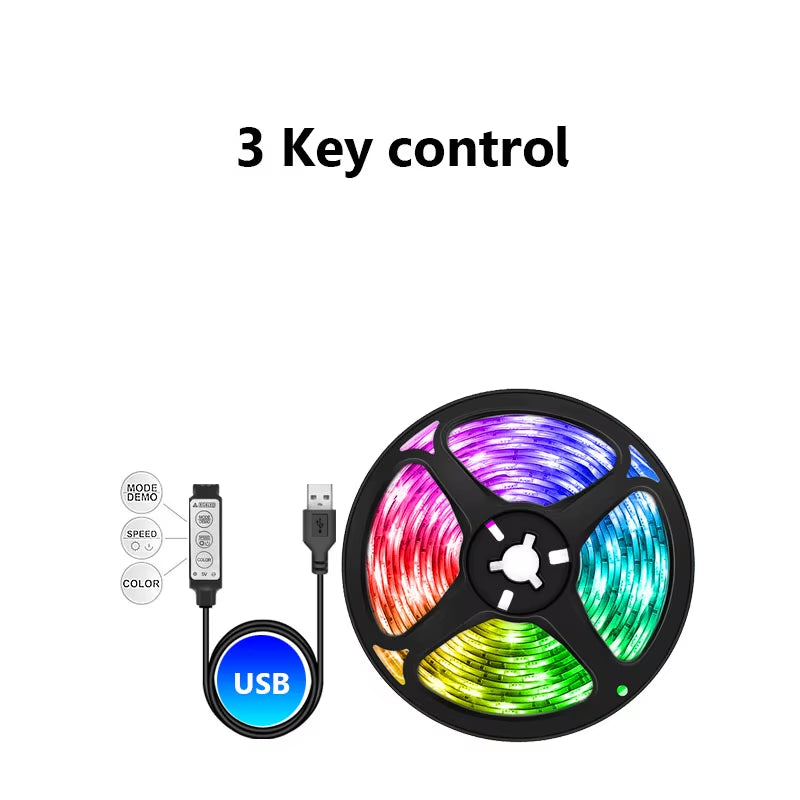 Usb Led Strip 5V 5050 Rgb Led Lights for Room Bluetooth Wifi Alexa Led Tape Colorful Children into the Room Backlight Led Band